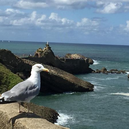 Charmant T2 Biarritz Centre Eksteriør bilde