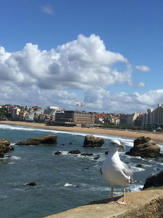 Charmant T2 Biarritz Centre Eksteriør bilde